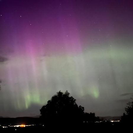 Fyrish View Lejlighed Dingwall Eksteriør billede