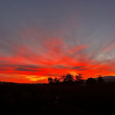 Fyrish View Lejlighed Dingwall Eksteriør billede